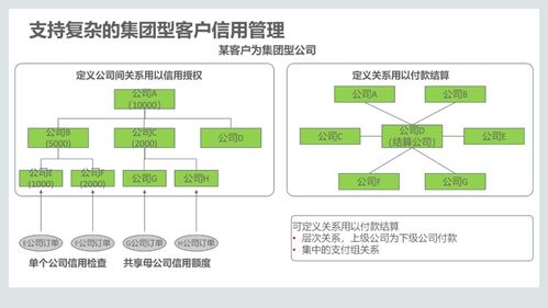 集成供應鏈管理解決方案 從110頁PPT到數(shù)據(jù)處理服務的全面解析